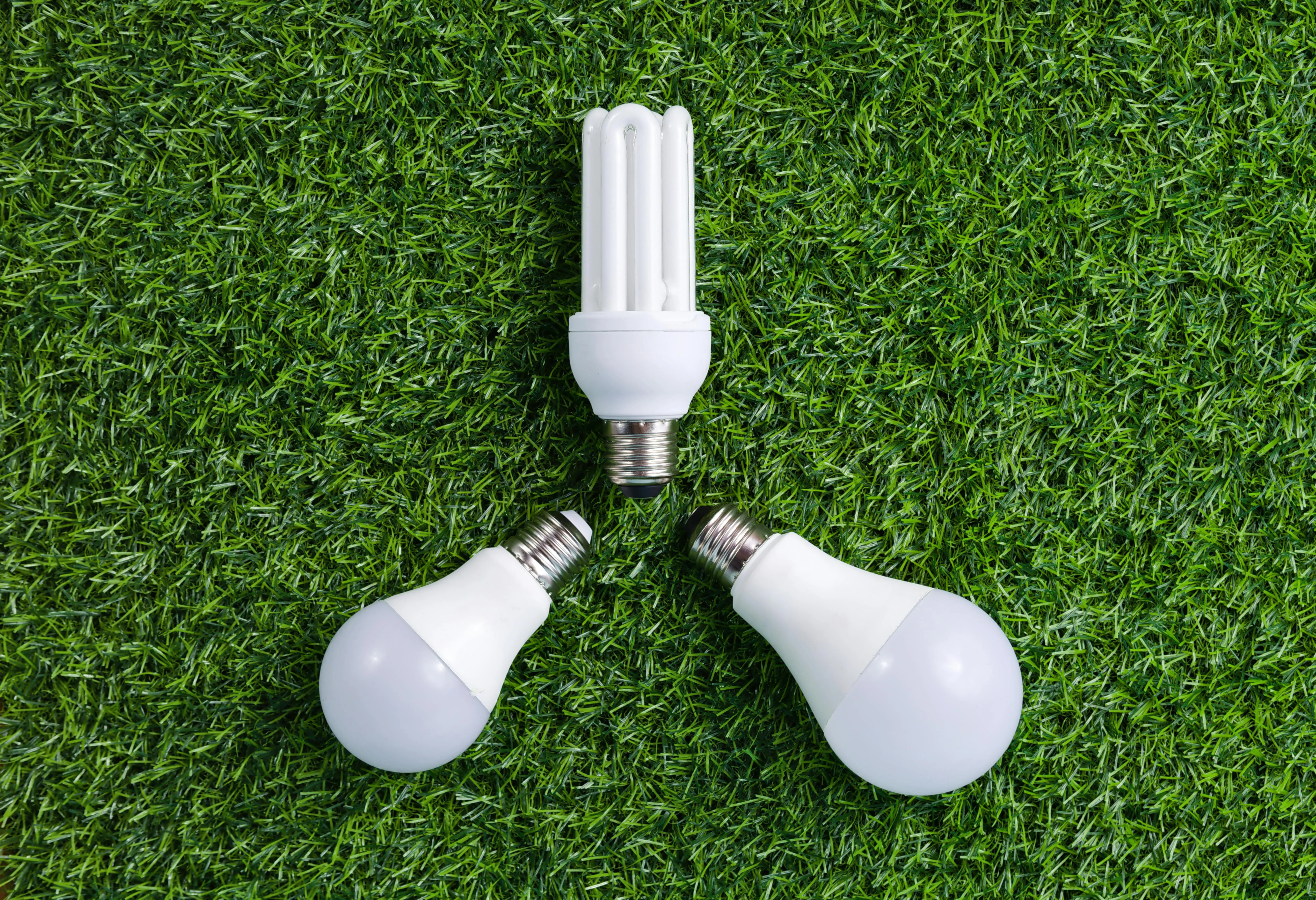 Energy-saving bulbs on grass — like any efficiency upgrade, a heat pump pays back through lower bills year after year.